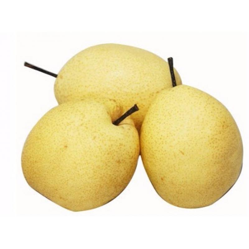 中国鸭梨_蔬菜/水果_新鲜食品_莱斯特韩品超市